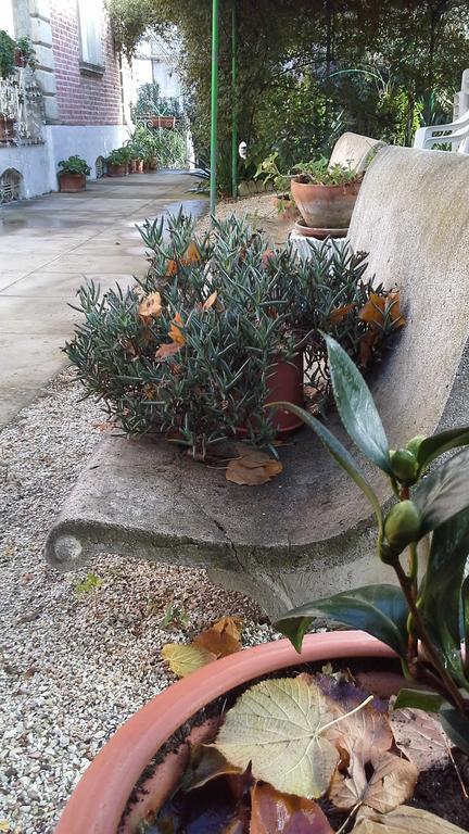 Villa Maria Bed & Breakfast, Corridonia, Marche エクステリア 写真