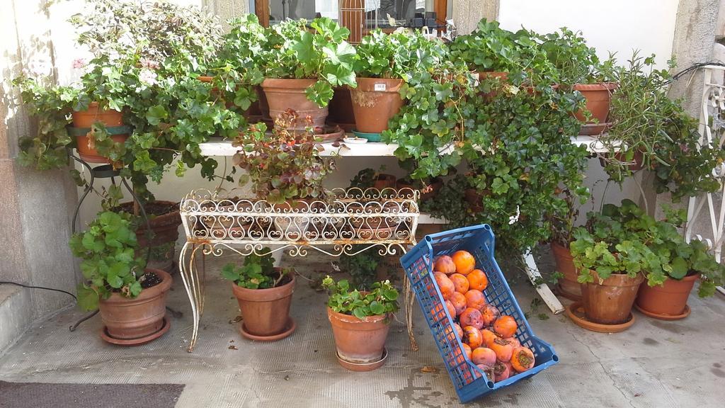 Villa Maria Bed & Breakfast, Corridonia, Marche エクステリア 写真