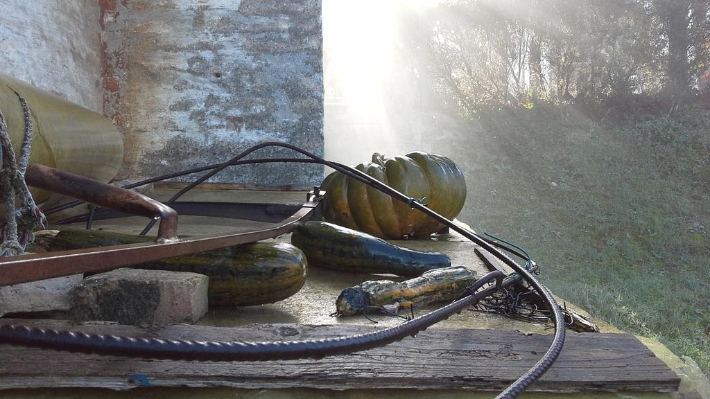 Villa Maria Bed & Breakfast, Corridonia, Marche エクステリア 写真