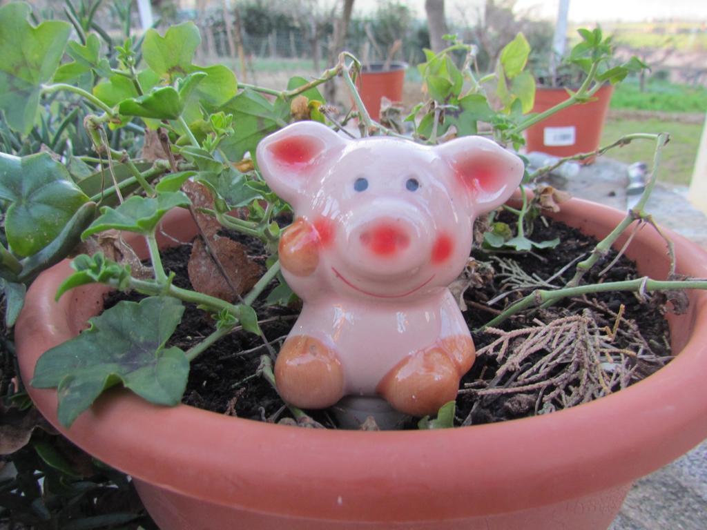 Villa Maria Bed & Breakfast, Corridonia, Marche エクステリア 写真